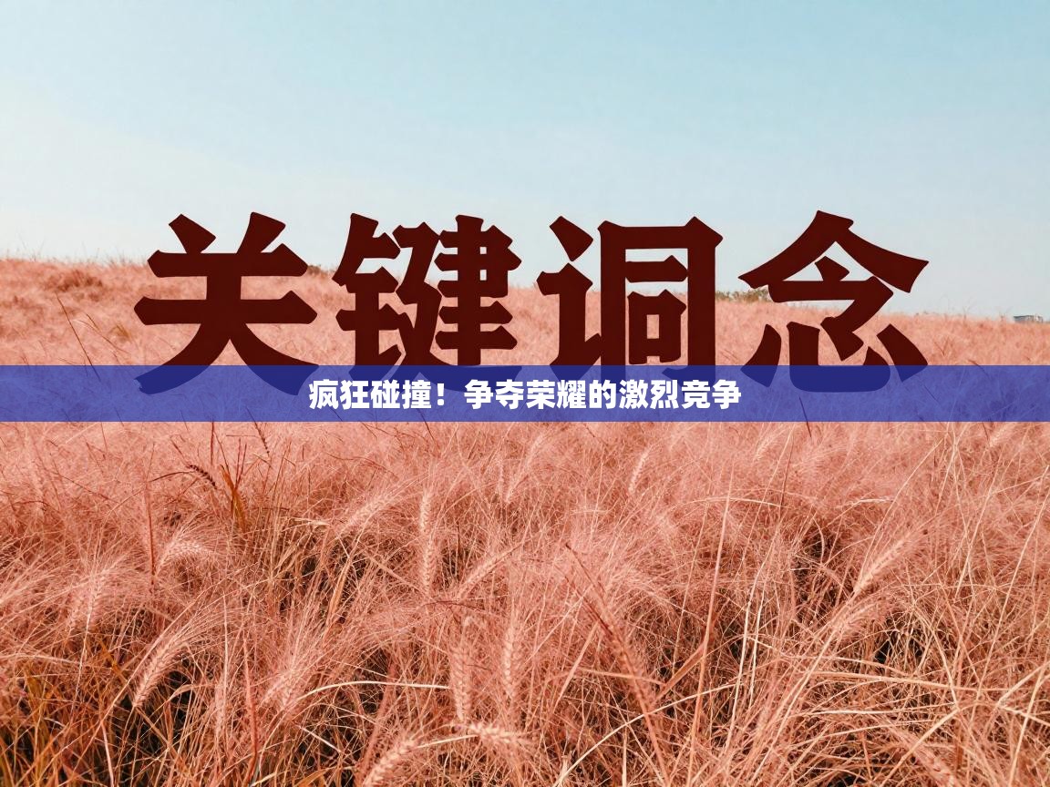 疯狂碰撞！争夺荣耀的激烈竞争