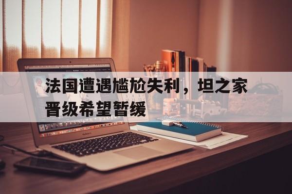 法国遭遇尴尬失利，坦之家晋级希望暂缓的简单介绍